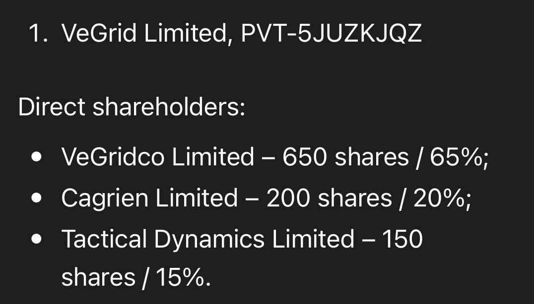 VeGrid Limited direct shareholders list